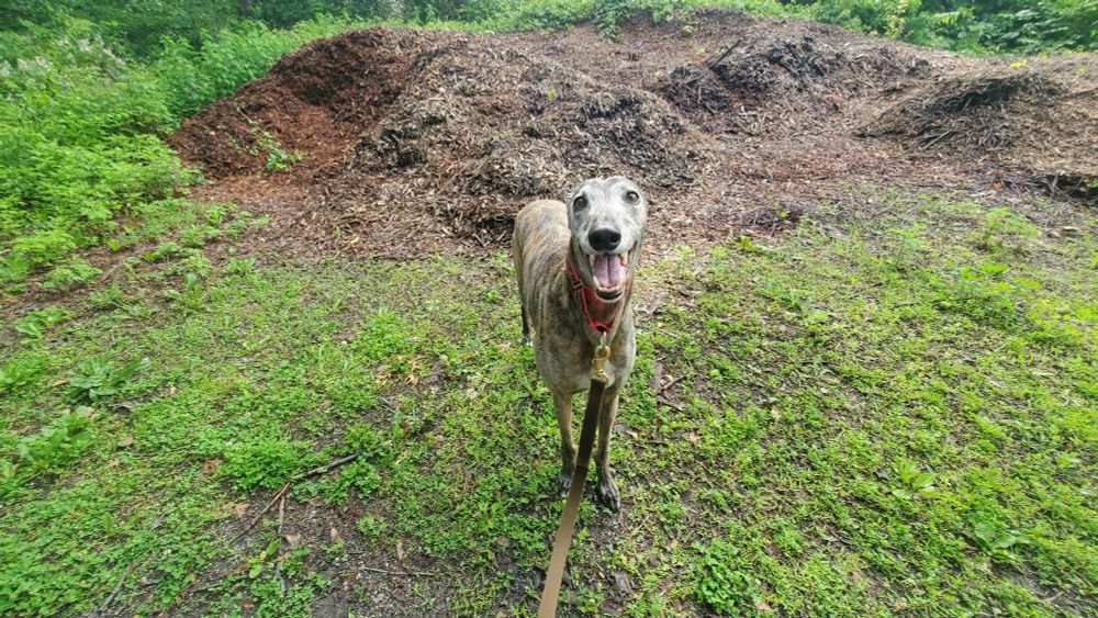 Check it out you guys, its MOUND MONDAY. Tag a friend to totally MOUND them!!!!!!