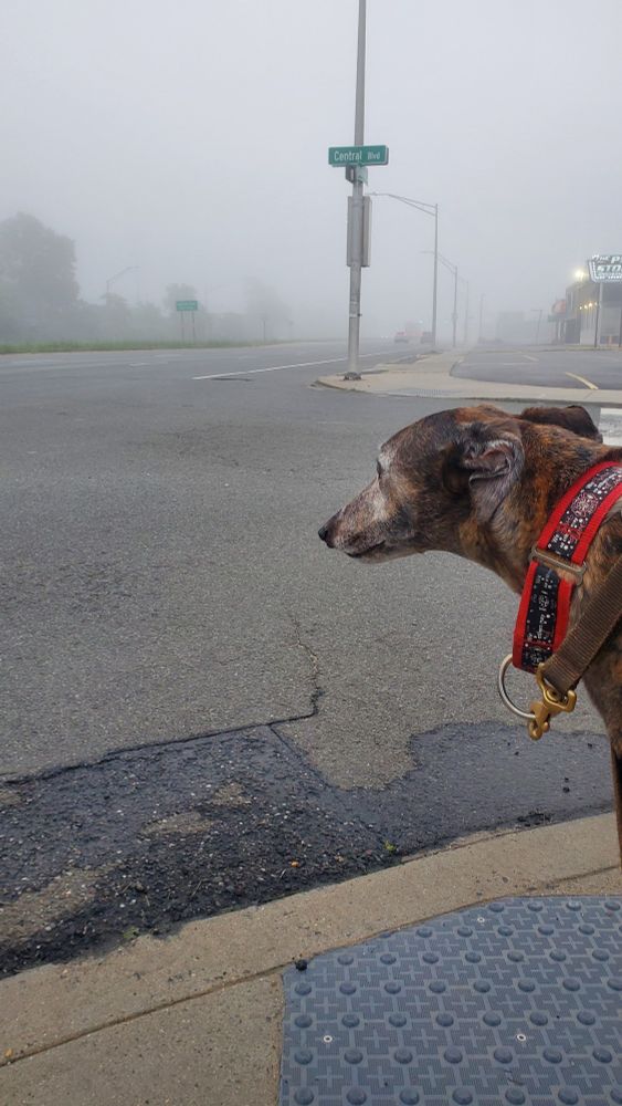 Its a friday and i got sent to silent hill

Frigk