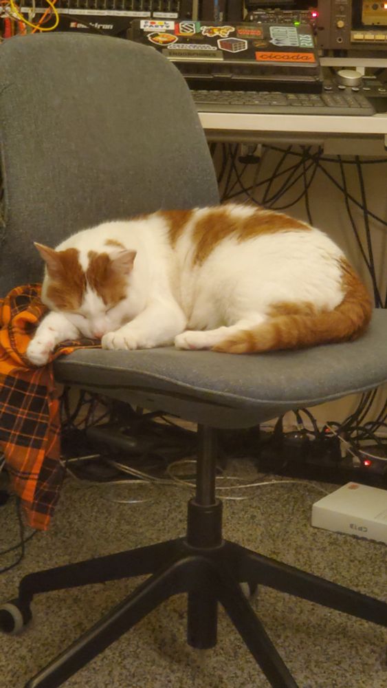 An orange and white cat sits in an armless office chair
