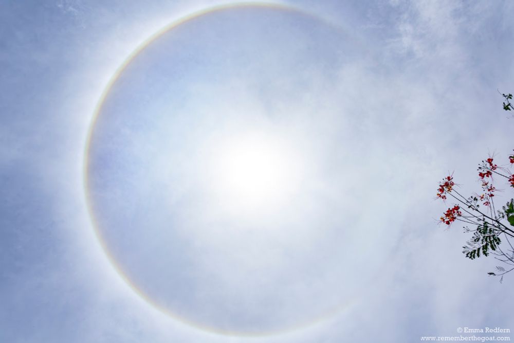 sun halo