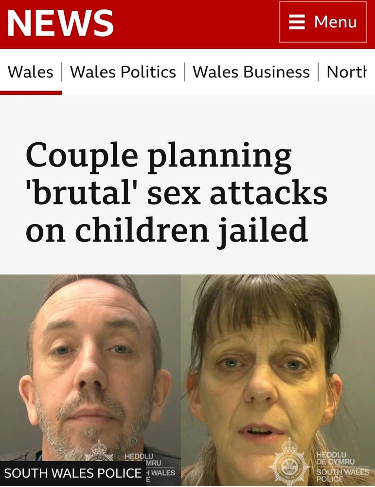 Article shows a picture of a white couple and the headline 'couple planning brutal sex attacks on children jailed'