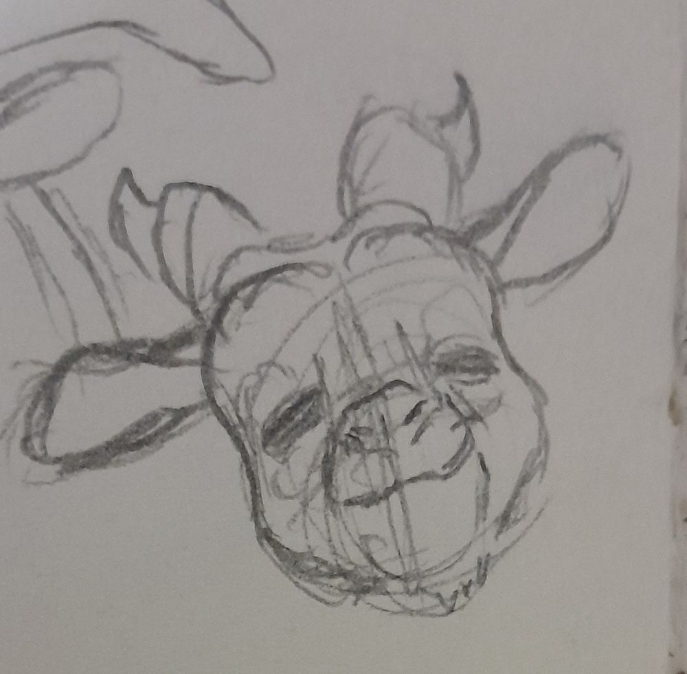 A goat like an anime goat