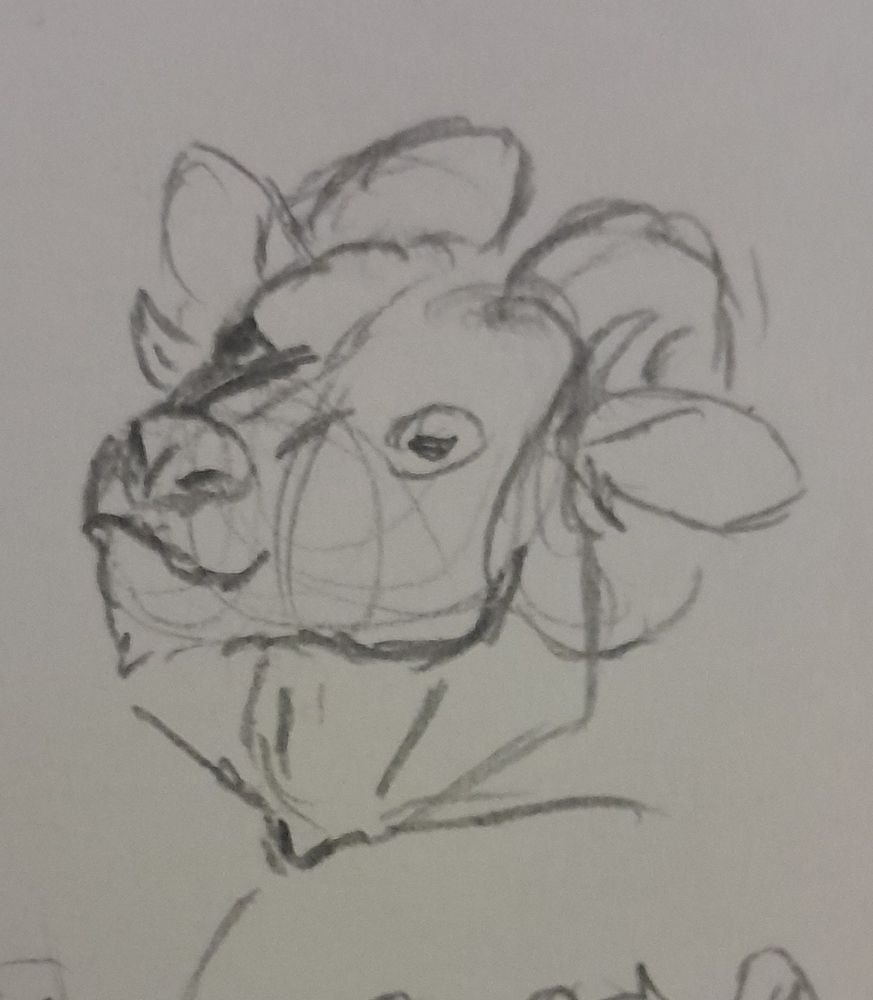 Just perplexed goat