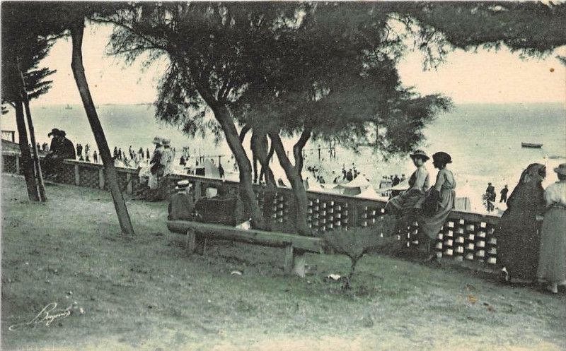 Fouras Promenade Des Sapinettes à #Fouras (#CharenteMaritime) 
Suite 👉 https://cartorum.fr/carte-postale/71033/fouras-fouras-promenade-des-sapinettes