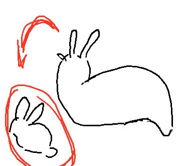 simple drawing of the slug with an arrow pointing to a rabbit in a similar pose