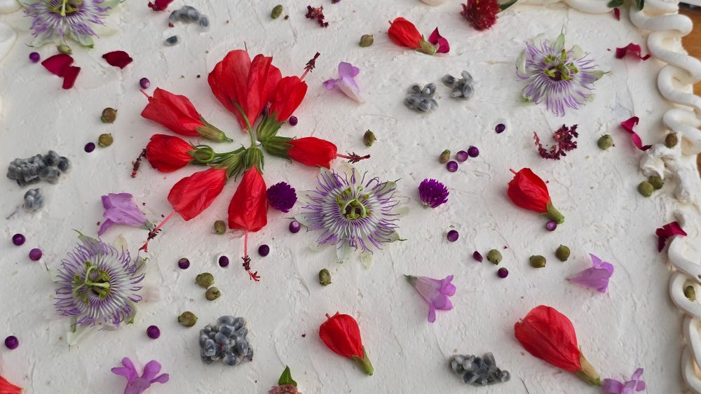 Colorful flowers and berries and seeds cover the white icing of this cake. 