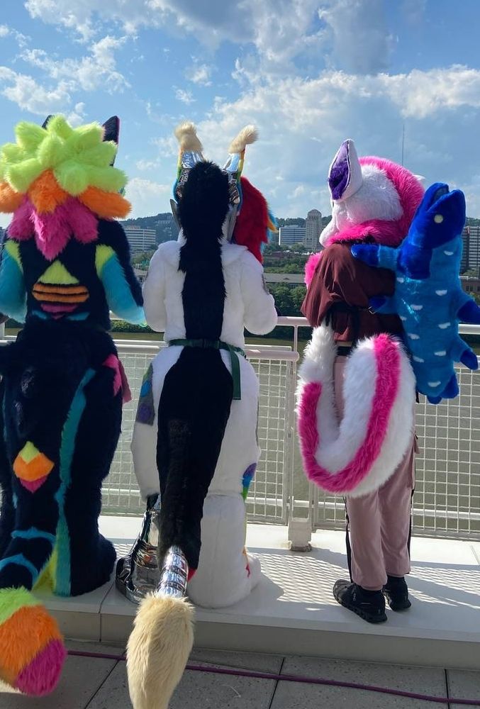 Arrow, Tuna, and I on the roof of the DLCC