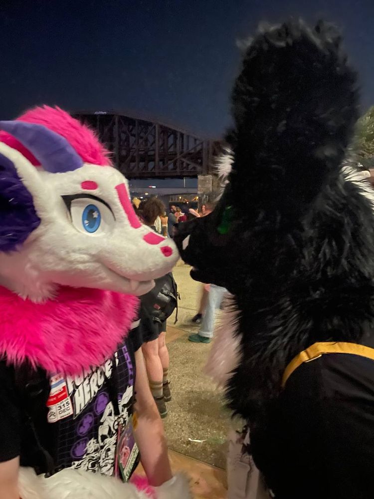 Nose boops with Phodos c: