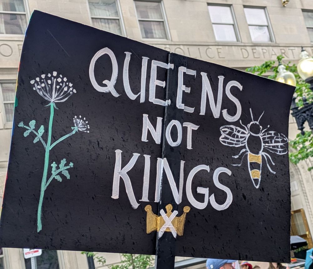 Protest sign "Queens not Kings" with drawings of a bee and a flower.