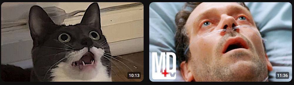 A screenshot of two YouTube videos on my recommended page that have eerily similar but hilarious thumbnails.

The thumbnail on the left shows a black-and-white cat staring off into space and whose mouth is open, possibly high on catnip.

The thumbnail on the right shows a still from a clip of the show House MD, with one of the patients staring off into space and whose mouth is open.