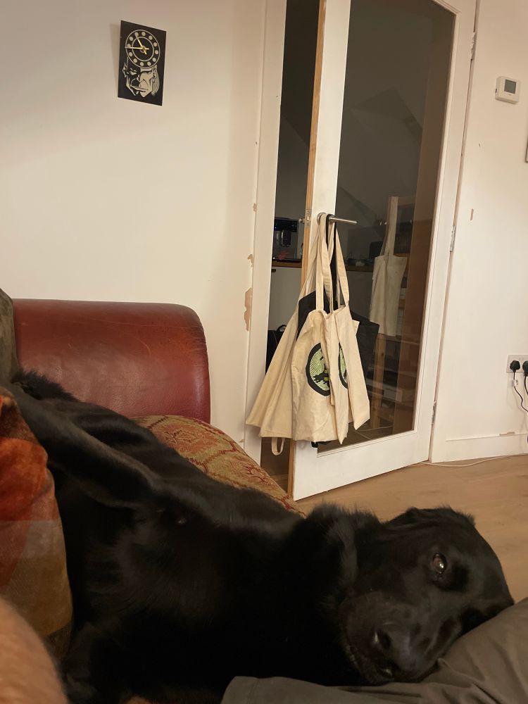 Black dog lying on the sofa beside me. At the far end, a clock hangs on the wall. It’s a 2000AD clock with a picture of the Mighty Tharg, his Rosette of Sirius making up the clock’s dial. You can’t tell in the photo, but it glows in the dark. Scrotnig!