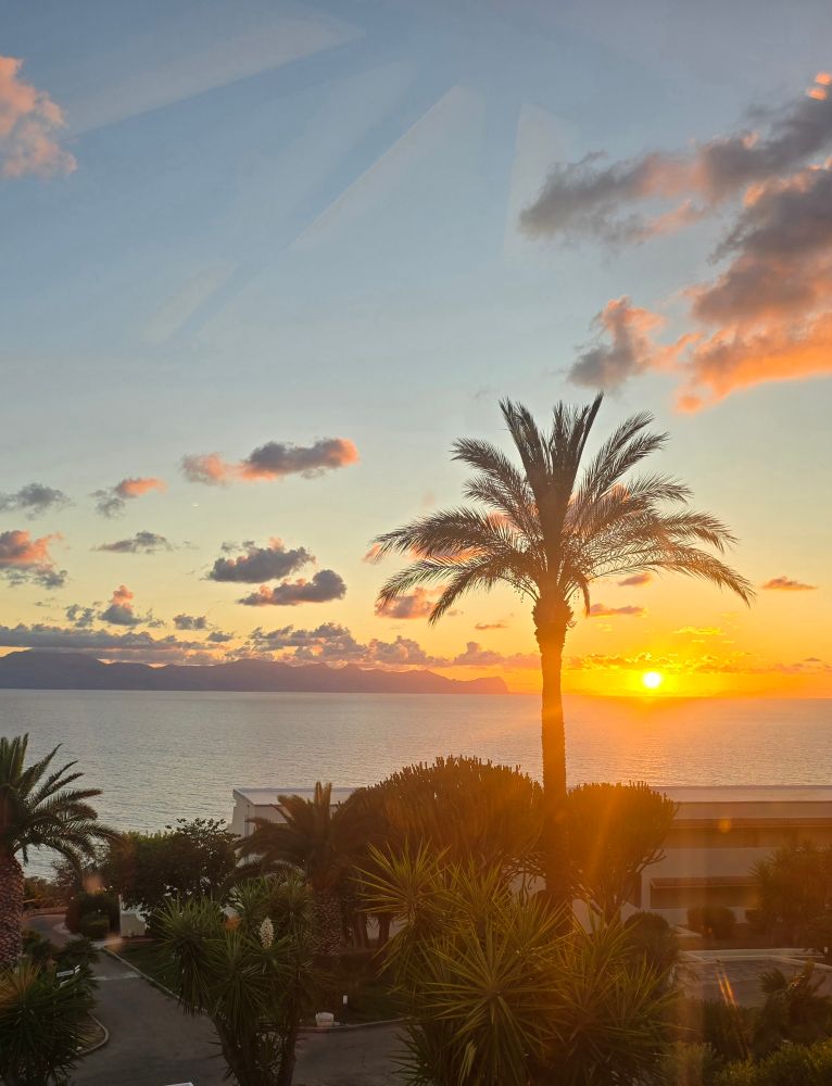 Sonnenuntergang an einem Küstenort mit Blick auf das Meer und entfernte Berge. Im Vordergrund ragen mehrere Palmen und exotische Pflanzen in den Himmel, während die Sonne orange-golden am Horizont untergeht. Der Himmel ist teils bewölkt und in sanften Pastellfarben gefärbt. Unten sind Gebäude mit flachen Dächern und eine kleine Straße zu sehen. Die Szene strahlt Ruhe und Urlaubsstimmung aus.