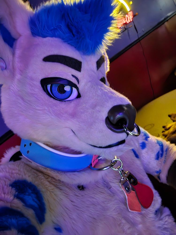 Selfie of Kottas in fursuit. He is a spotted hyena who is light brown with blue hair, blue eyes, and blue rosettes.