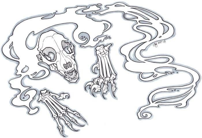 A cat skull and skeletal front feet and claws. They appear animated by a ghostly force.