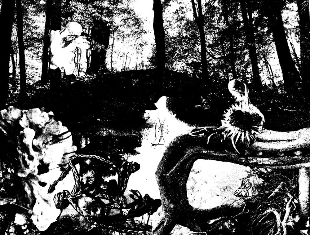 scanned black and white photo collage of trees stream and  river flowers and embroidery - looks more ominous in b&w than in color!