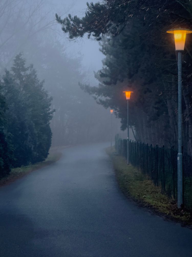 A slightly curved road veiled in fog is going into the distance disappearing into the foggy forest in the background. It’s lined by dark blueish green trees on the left and a dark a black fence on the right side, also with trees behind it. 3 lampposts are on the right side their lamps glowing brightly in a dark shade of orange, illuminating the fog around them.