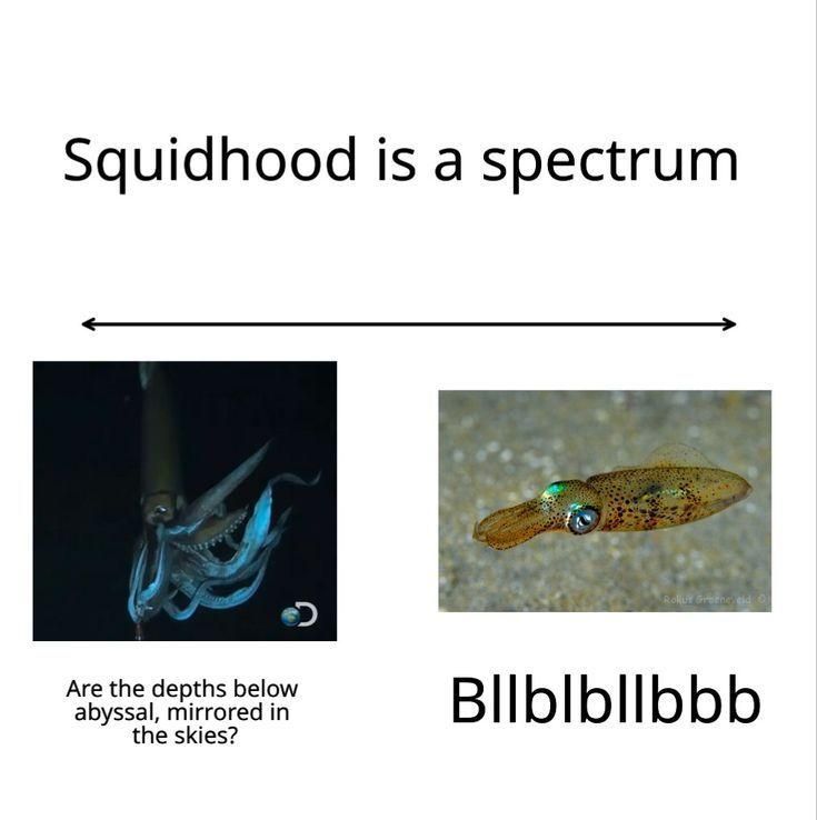 Squidhood is a spectrum. Then, two pictures of squids. One saying 'are the depths below abyssal, mirrored in the skies?' And the second, tiny squid says "Bllblbllbbb'.