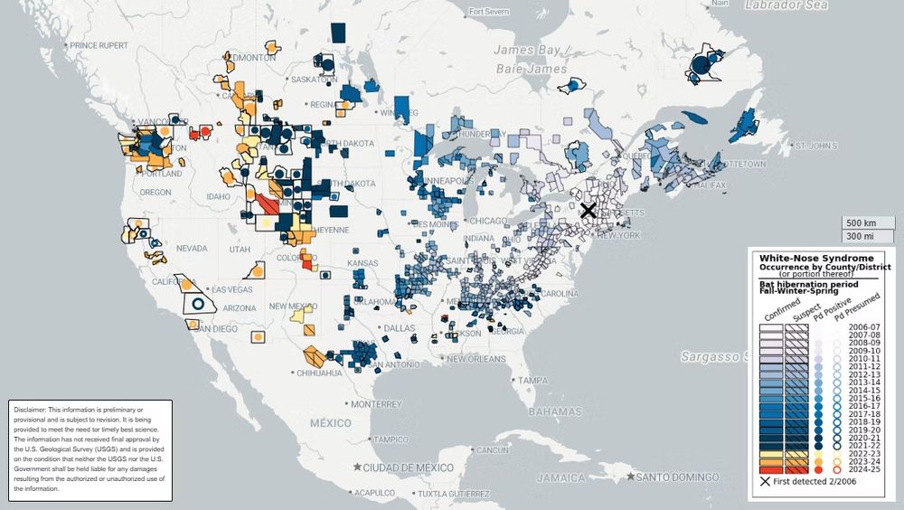 A map of North America with the tracking of both Pd (the fungus that causes white-nose syndrome in bats) and white-nose syndrome disease confirmations. It's basically everywhere except British Columbia, Alaska and the northern Territories. 