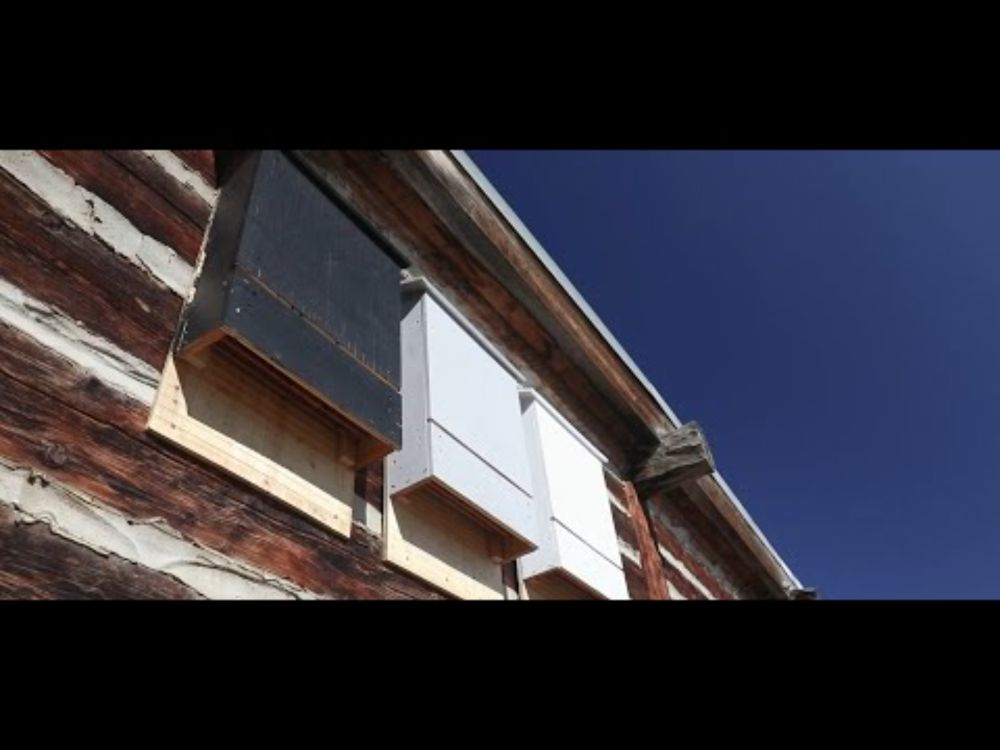 Supporting Alberta's Bats: The Role of Bat Boxes in Conservation