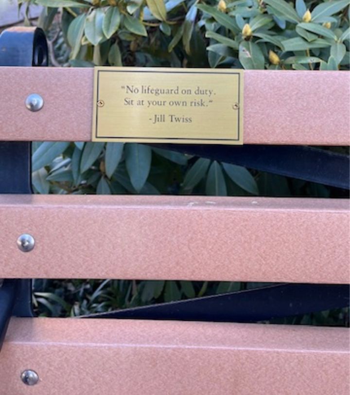 a bench with a plaque reading "No lifeguard on duty. Sit at your own risk." -Jill Twiss