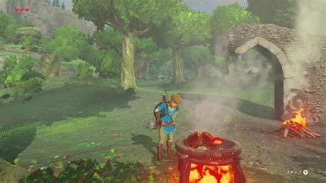 Screenshot of Link in Breath of the Wild cooking a meal in a cooking pot, near a bonfire and a ruin wall in a forest.