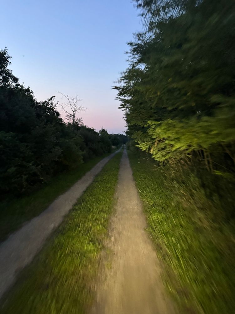 A double track road at dusk illuminated by headlights and motion blurred