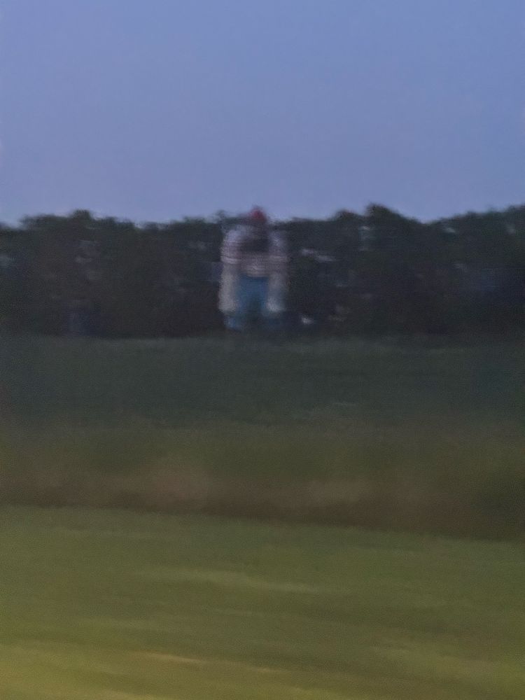 Blurry distant photo of the sad Paul Bunyan sculpture at GSU looking like a cryptid