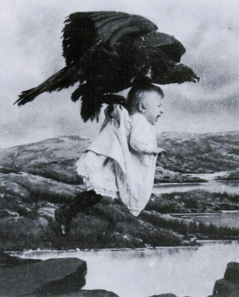 scene from "Rescued from an Eagle's Nest" (1908), showing a bird of prey flying with a crying child in its talons