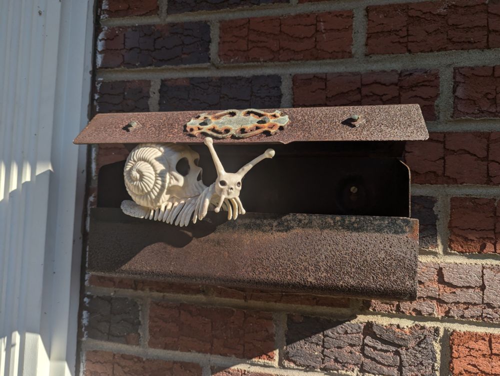 A skull snail (or "sknail") Halloween decoration in a mailbox 
