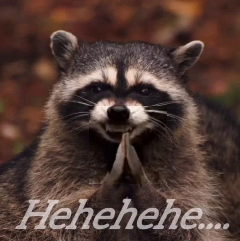 a raccoon with its paws folded and the word ' henehene ' below it