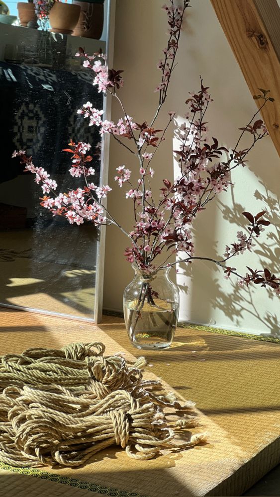 Shadows from a bouquet of plum blossom flowers cast on a wall from the glass vase in front of it. Hanks of jute rope lay diagonally along the line reflected by the mirror on the tatami mat. 