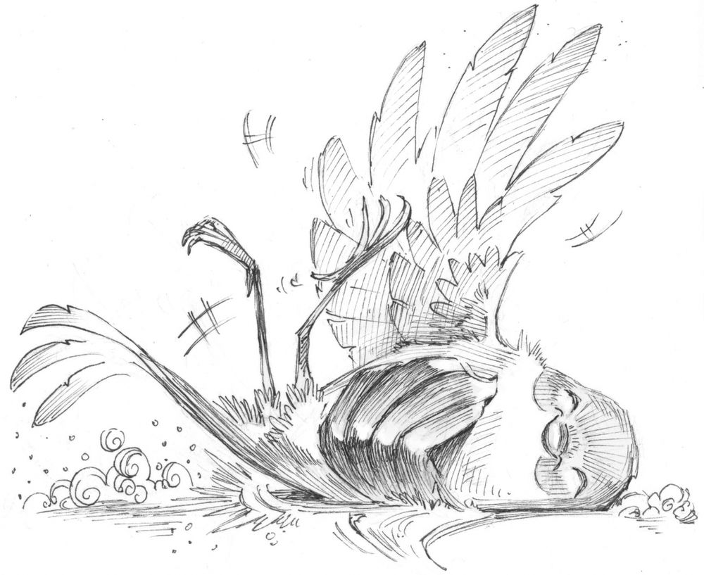 Bird rolling around giggling, from lucky Duck