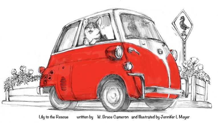 Corgi in a cute red car