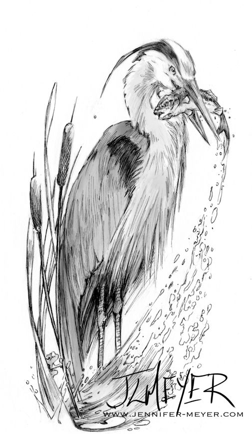 Done in pen and ink by hand then gray scale was added digitally