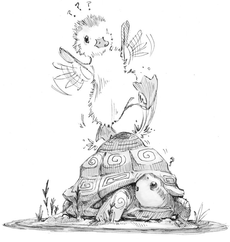 A little fluffy friend having a problem on a turtle that looks like a rock