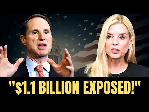 YouTube video by Liberal Pulse