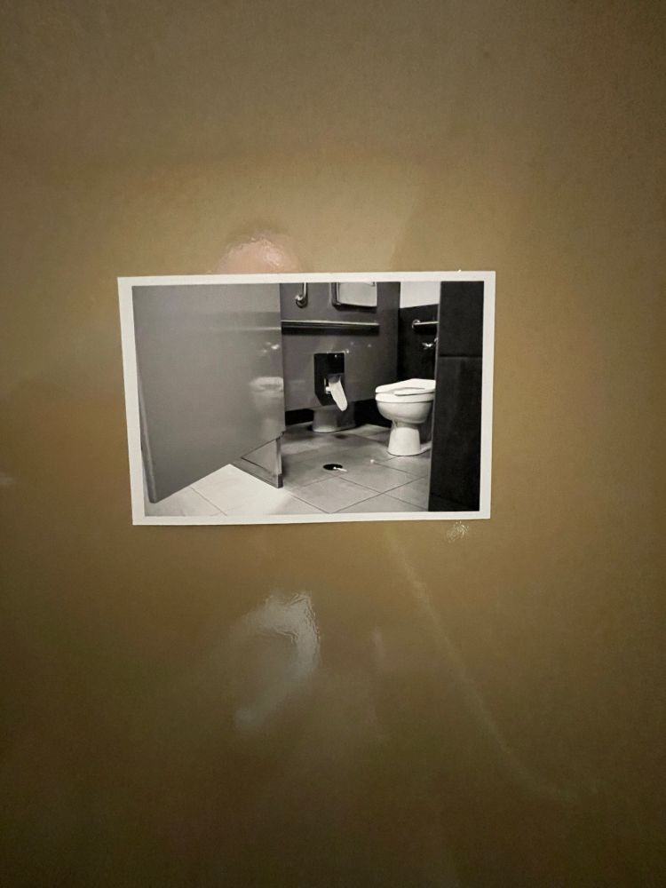 A photo hung on the wall of a bathroom stall. The photo is of the same bathroom stall. 