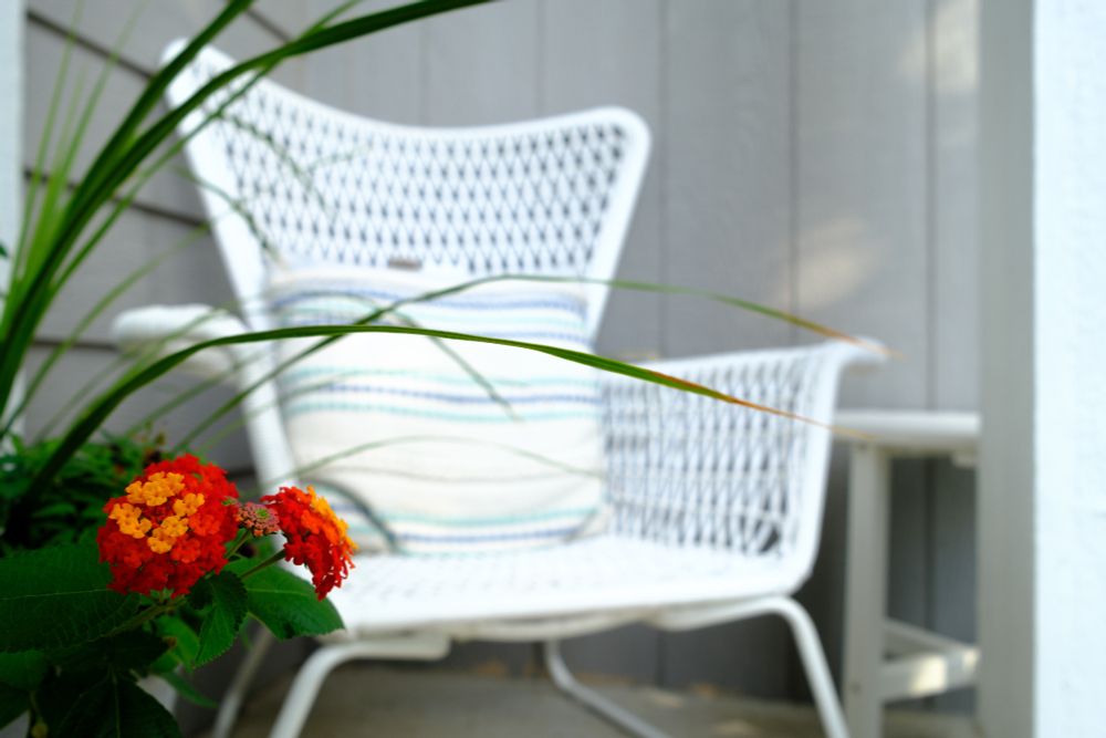 An orange and red flowered plant sits in front of a chair and table in the back ground. 