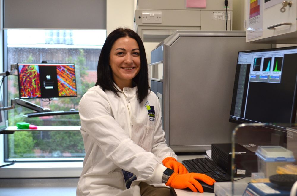 Dr Dimitra Lamprinaki 
