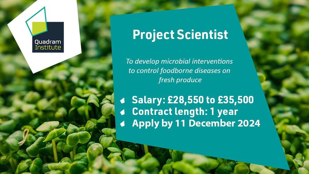 A photo of cress seedlings with the Quadram Institute logo and the text "Project Scientist, to develop microbial interventions to control foodborne diseases on fresh produce. Salary: £28,550 to £35,500, Contract length: 1 year, Apply by 11 December 2024"