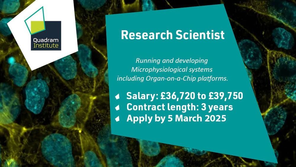 A social card with a microscopy images of gut on chip with the text "Research Scientist, running and developing micro physiological systems including Organ-on-a-Chip platforms. Salary: £36,720 to £39,750, Contract length: 3 years, Apply by 5 March 2025"
