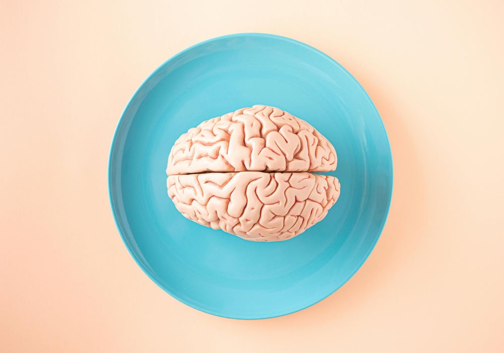 Model of a human brain on a blue plate.