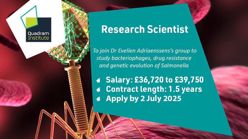 A social card with an illustration of a bacteriophage and bacteria and the text "Research Scientist to join Dr Evelien Adrianssen's group to study bacteriophage, drug resistance and genetic evolution of Salmonella, Salary: 36,720 to 39,750, Contract length: 1.5 years, Apply by 2 July 2025