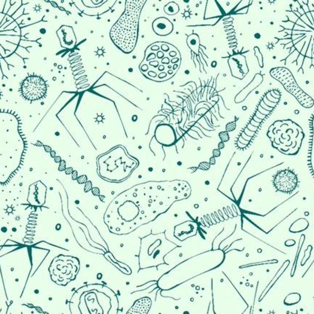 A graphic showing a variety of phages, microbes and organelles.