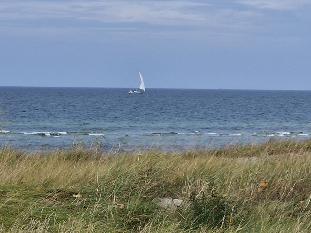 Meerblick mit Segelboot aus Landsicht mit Düne im Vordergrund. 