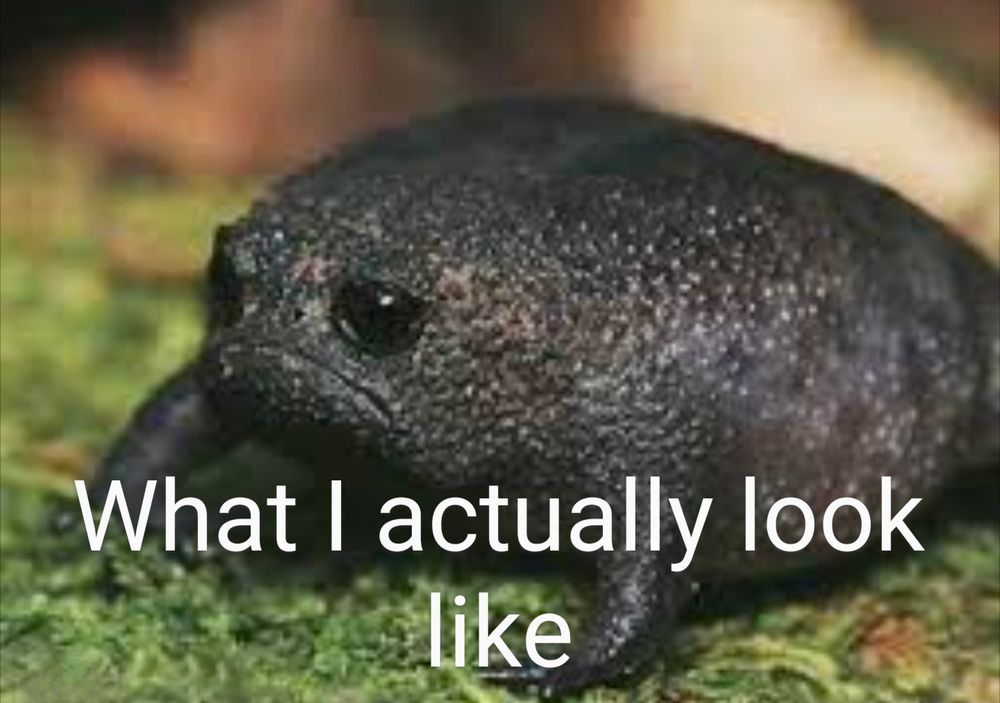 A lumpy brown frog frowns. Text says "What I actually look like."