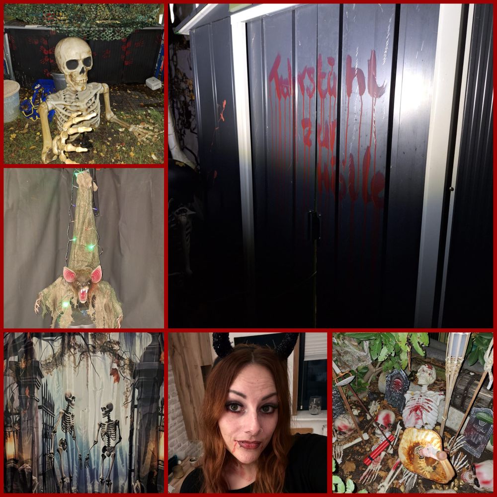 Eine Collage aus einigen Bildern von der Party. 
Bild 1: ein übergroßer Oberkörper eines Skeletts
Bild 2: eine böse und angriffslustig guckende Fledermaus, die von der Decke hängt, 
Bild 3: ein schwarzer Gartenschuppen auf den in roter Schrift „Fahrstuhl zur Hölle“ geschrieben wurde
Bild 4: ein Vorhang, auf dem zwei Skelette in einem Tor Eingang stehen, dahinter ein Wald im Nebel 
Bild 5: Ein Bild der Userin, mit schwarzen Teufelshörnern auf, leicht Blutunterlaufenden Augen und einem blutigen Handabdruck auf dem Hals 
Bild 6: eine Ecke im Garten, dort liegen Knochen, ein Skelett und einige andere gruselige Deko Elemente 