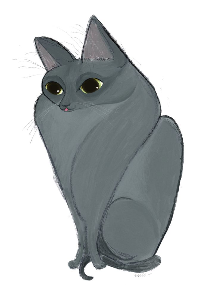 a grey cat with chubby neck and chest, sitting happily with a bit of their tongue out