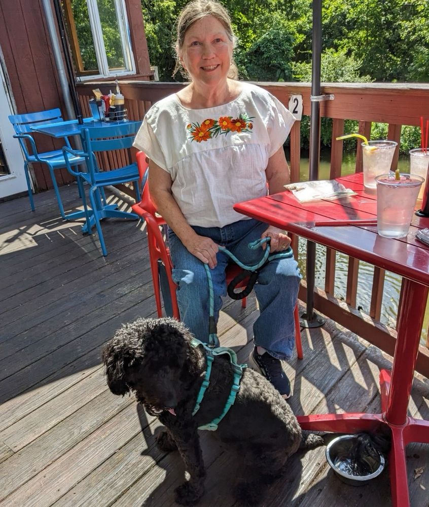 Little black poodle mix enjoying drinks and snacks.