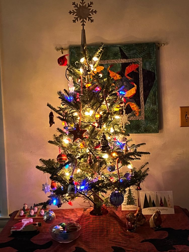 This year we just got a baby tree. It’s a 2-3 foot high Christmas tree. 